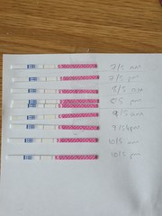 AF arrived today - Testing end of May / early June buddies