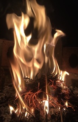 Any Witches Here? Part 11