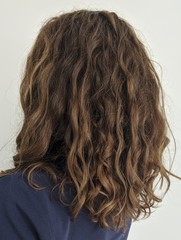 ➿ Fantastic Haircare: Making Sense and Science of the Curly Girl Method