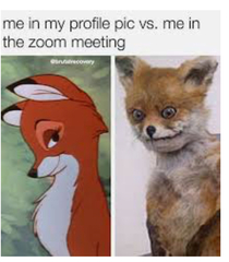 AIBU to ask for your favourite isolation memes?