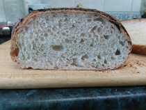 Calling sourdough starter experts!