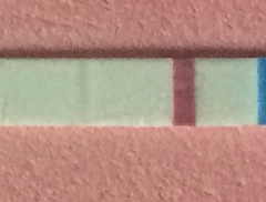 Faint line or Evap?