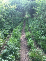 Running Thread number 15