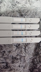 Ovulation or Pregnant????