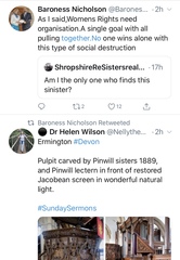 Baroness Nicholson on twitter