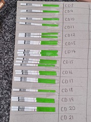 Advice OPK and temperature