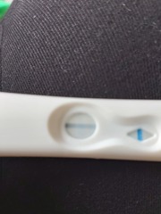 Pregnancy