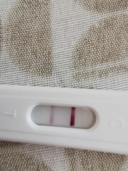 What were your experiences with implantation bleeding?