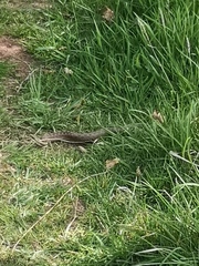 Jan '20 - Low Carb Bootcamp - The finish line!