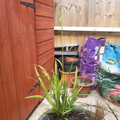 Name that grass!