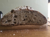 Calling sourdough starter experts!