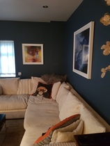 Farrow and ball or Dulux?