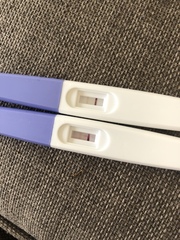 Pregnancy test results