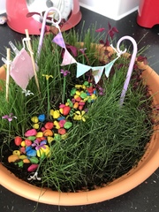 Please help me saving my DD’s dying fairy garden!!