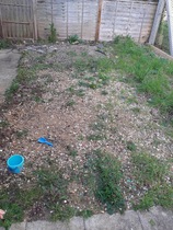 New to gardening! Where do I start??