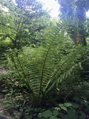 Any Witches Here? Part 11