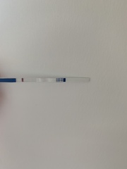 11DPO..when to test