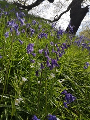 Jan '20 - Low Carb Bootcamp - The finish line!