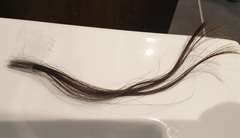 Bleaching hair from dark brown