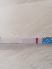 Frer** taken apart , 12dpo ( I think ) am I out?:(