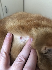 Does anyone know what this looks like?