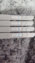 Ovulation or Pregnant