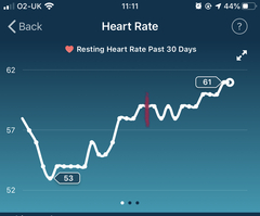 Tracking your cycle and possible bfp with rhr on Fitbit.
