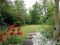 Any Witches Here? Part 11