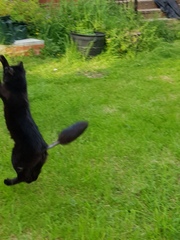 What's your DCat up to today? (Thread 7!)