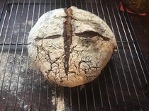 Calling sourdough starter experts!