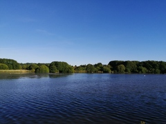Anti Dementors picnic at the Loch.