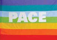 What do you think about the rainbow flag?