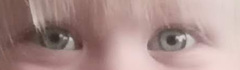 Properly violet or green eyes?