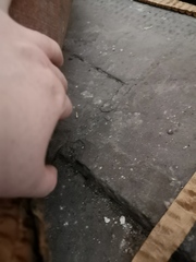 Does anyone know what this stuff is under my carpet?