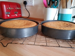 That's it. I just cannot bake.