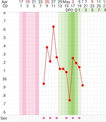 Advice OPK and temperature