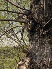 Can I ask those who are walking what do you see on your everday walk?