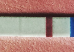 Faint line or Evap?