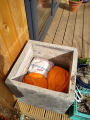 2020 new Gardeners’  thread