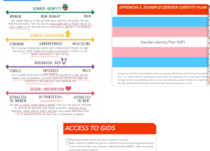 Vunerabilities of Looked After Children, Social Work & CP restricted by affirmation requirement? Trans Youth in Care Toolkit