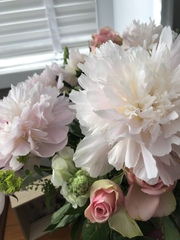 Bloom and wild??