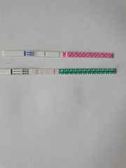 AF arrived today - Testing end of May / early June buddies