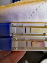 7dpo vvvvfaint bfp?