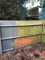 Can I adopt a tiny bit of land at the bottom of my garden (photos attached)