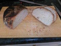 Calling sourdough starter experts!