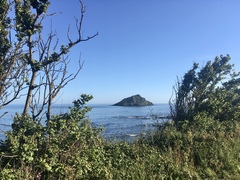 Any Witches Here? Part 11