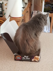 What's your DCat up to today? (Thread 7!)