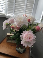 Bloom and wild??