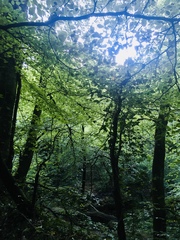 Any Witches Here? Part 11