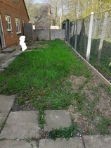 New to gardening! Where do I start??